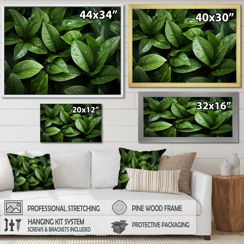 Champ de plantes vertes sur toile, Cadre flottant doré, H 12 po x l 20 po x P 1 po