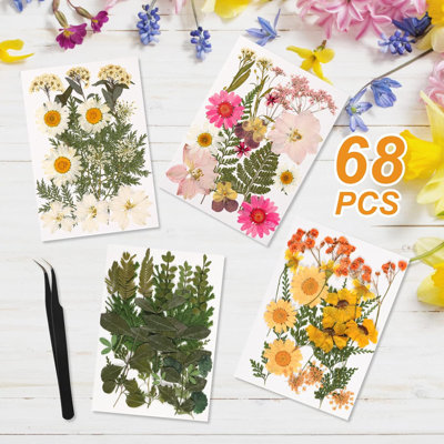 Gold Picture Frame Set, 68 Pcs Dried Flowers And Tweezer ,Double Glass Frame For Pressed Flowers, Pressed Flower Frames For Handicrafts, Photo Or Other Flat Items.