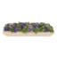 Sedum Arrangement in a Rectangular Wood Planter-1272903827