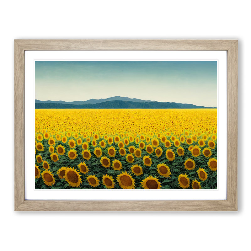 Extraordinary Sunflower Field - Single Picture Frame Print, 25cm H x 34cm W x 2cm D, Oak Framed