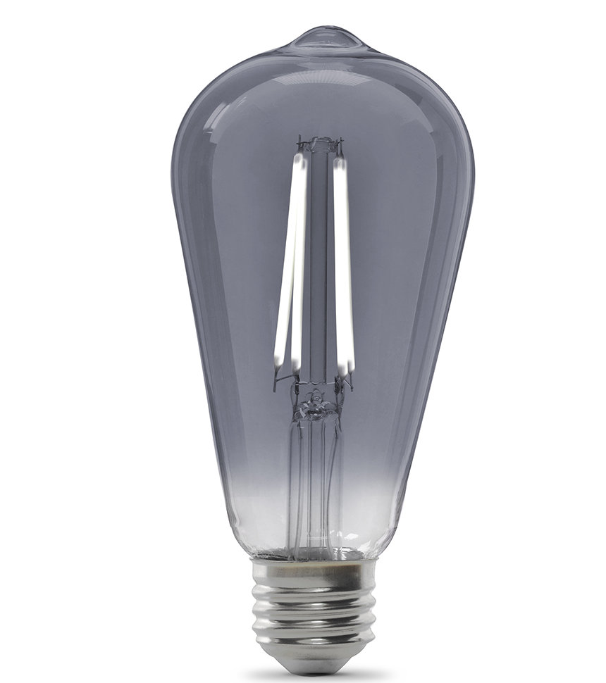 25 Watt Equivalent ST19 E26/Medium (Standard) Dimmable 5000K LED Bulb (Set of 12) FeitElectric