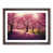 Walnut Framed