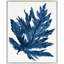 Indigo Impression 1 Painting