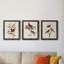 Pl 354 Louisiana Tanager - Ensemble de 3 peintures sur toile encadrées-384900196-384900199