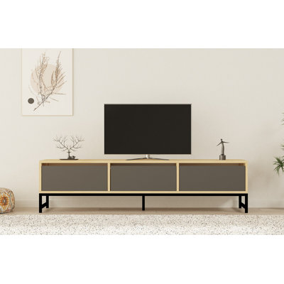 Emden TV Stand for TVs up to 48"
