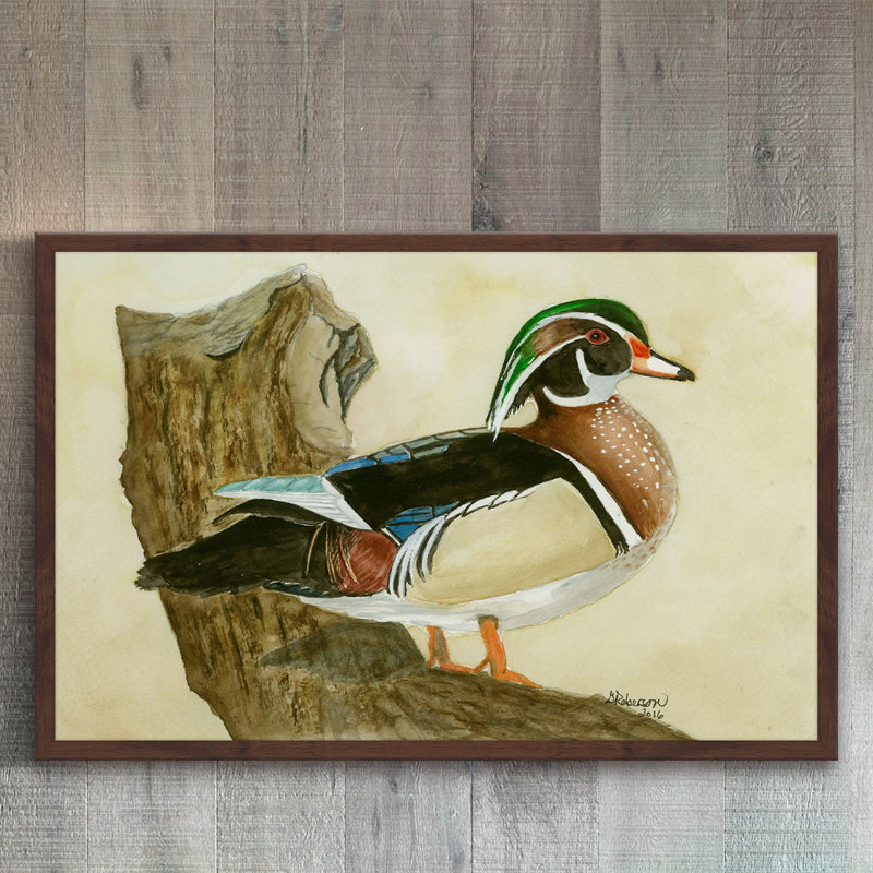 « wood duck », reproduction de peinture à l’aquarelle encadrée, H 12 po x l 18 po x P 1,5 po