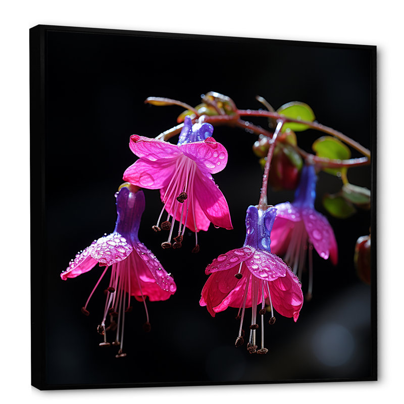 Fleurs de rose fuchsia - art mural fuchsia, H 36 po x l 36 po x P 1,5 po, Cadre flottant noir