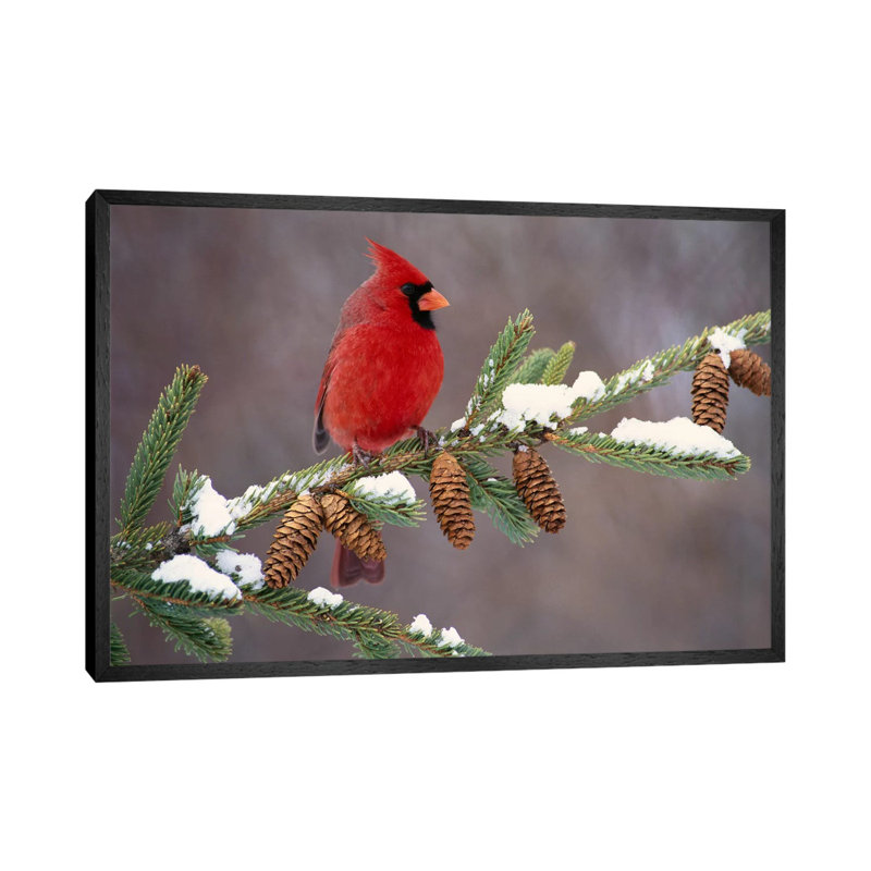 Steve Gettle - Print on Canvas, 101.6 cm H x 66.04 cm W, Black Floater Framed