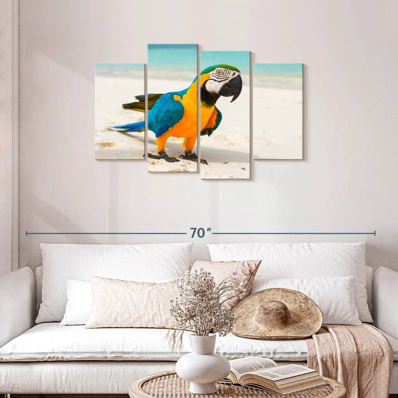 Brampt Macaw On White Sand