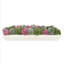 Sedum and Moss Arranged in Wood Planter-1619821988