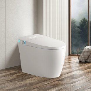 Tankless Smart Toilet With Bidet Built In, One-Piece Bidet Toilet Seat, Auto Flush,Heated Seat, Warm Water And Dry, Adjustable Temp,Remote Control Side Know