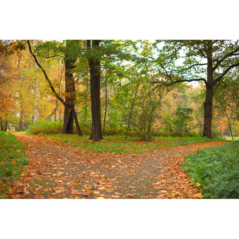 Autumn by Gbh007 - Wrapped Canvas Print, 30cm H x 46cm W