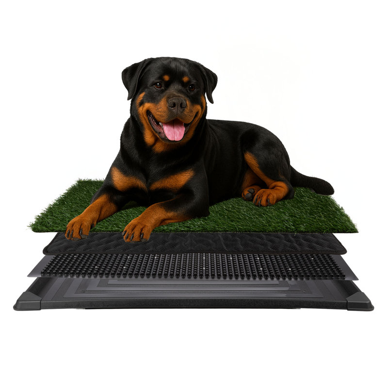 Tapis pour chien avec plateau PETMAker 41 x 27 po, H 2 po x l 27 po x P 41 po
