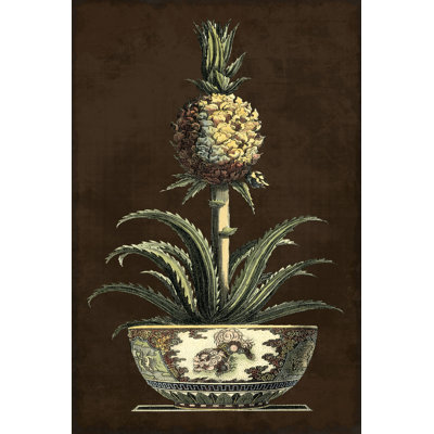" Potted Pineapple II " by Vision Studio