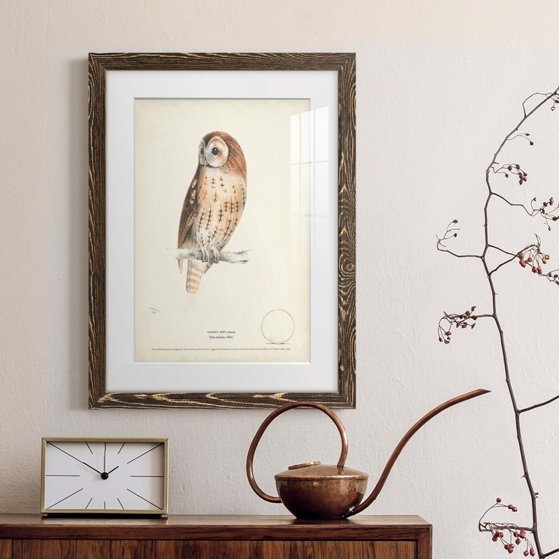 Tawny Owl Premium encadré mat - prêt à accrocher, H 24 po x l 20 po x P 1 po, Encadré de bois de noyer