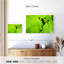 Frog Leaf Shadow-108887685