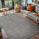 Gray Indoor/Outdoor Rug