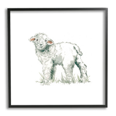 Fluffy Baby Sheep
