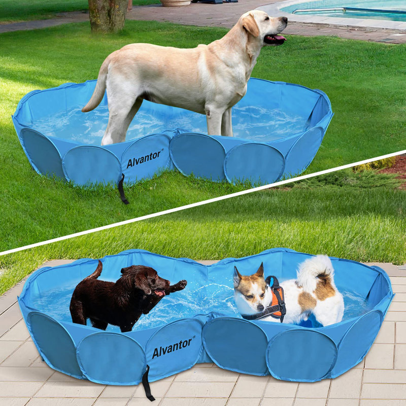 Blue Double Pet Swimming Pool with PVC Frame