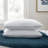 Support Density Bed Pillow 2 Pack-1652462116-1615531192