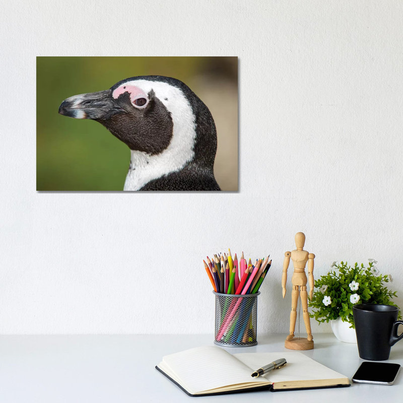 African Penguin Portrait by Mogens Trolle - Wrapped Canvas Gallery-Wrapped Canvas Giclée, 20.32 cm H x 30.48 cm W