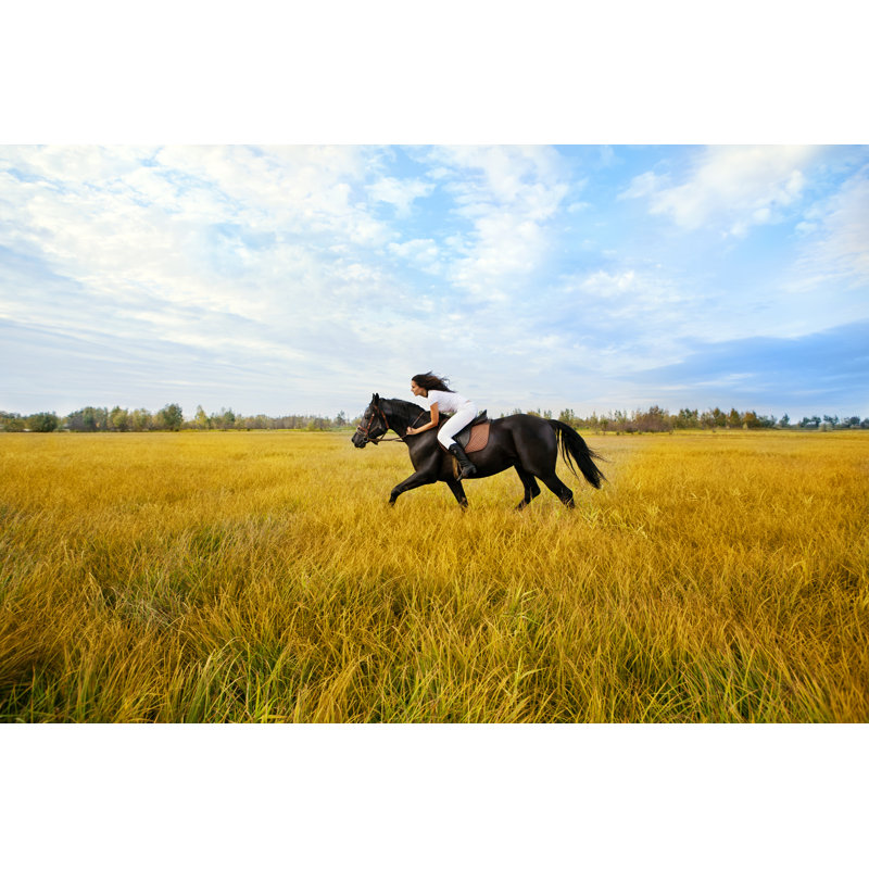 Belle femme et cheval par Sergueïeva, H 32 po x l 48 po