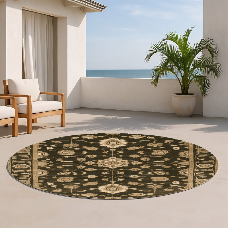 Overdyed Brown Indoor and Outdoor Area Rug, Round 5'