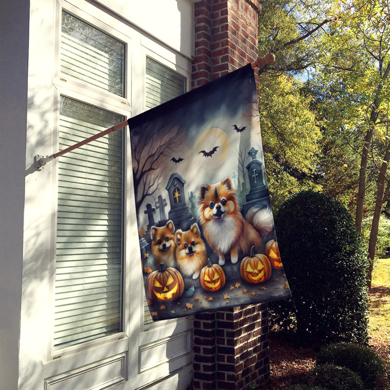 Drapeau de la maison d'Halloween de Poméranie