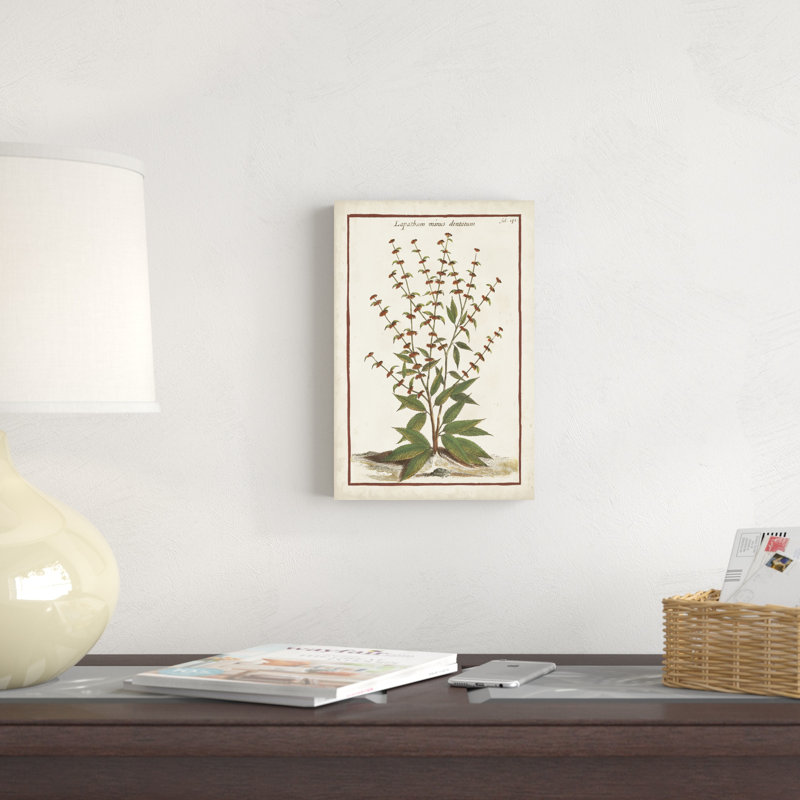 Munting Botanicals III, H 12 po x l 8 po