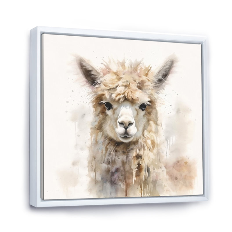 Graceful Alpaca III - Alpaca, art mural, Cadre flottant blanc, H 24 po x l 24 po x P 1 po