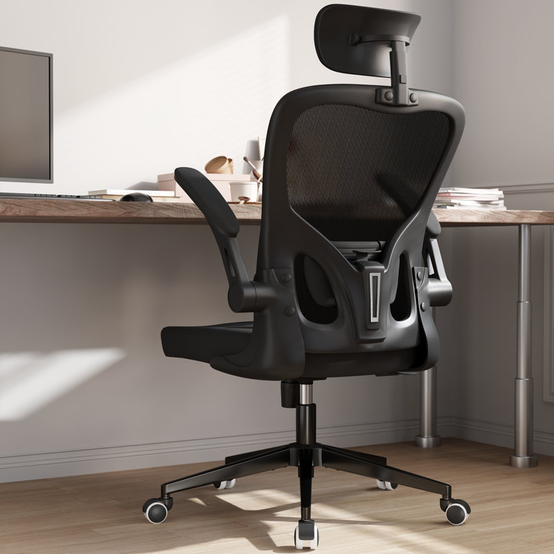 Cadell Ergonomic Office Chair, Home Office Desk Chairs with Lumbar Support, 3D Headrest and Flip Up Arms, Rockable Swivel