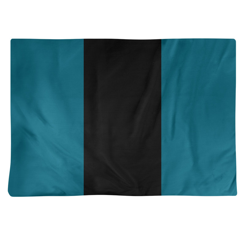 Récapitulatif en coton 18" retour football Jacksonville, Aqua / noir