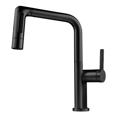 17 Stories Pull Out Kitchen Faucet