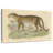 Brampt Graceful Vintage Leopard-107860665