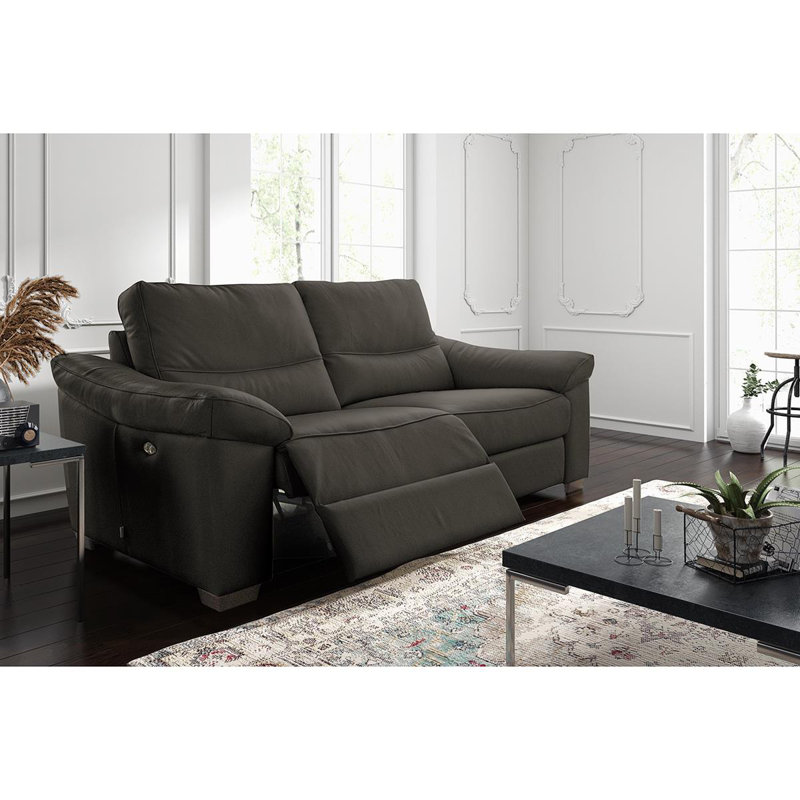 Edeltrudis Genuine Leather 2 Seater Reclining Sofa, Anthracite, 100cm H x 212cm W x 95cm D