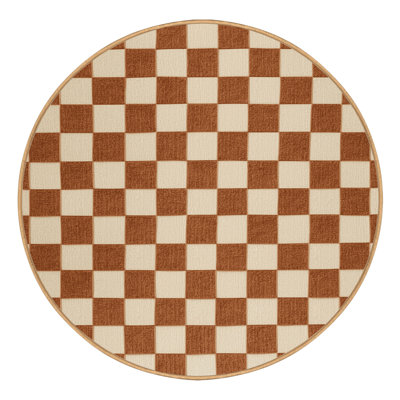 Machine Washable Checkered Brown Area Rug