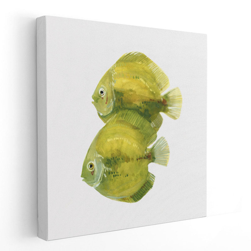 Discus Fish II - Canvas Print Wall Art, 20" H x 20" W