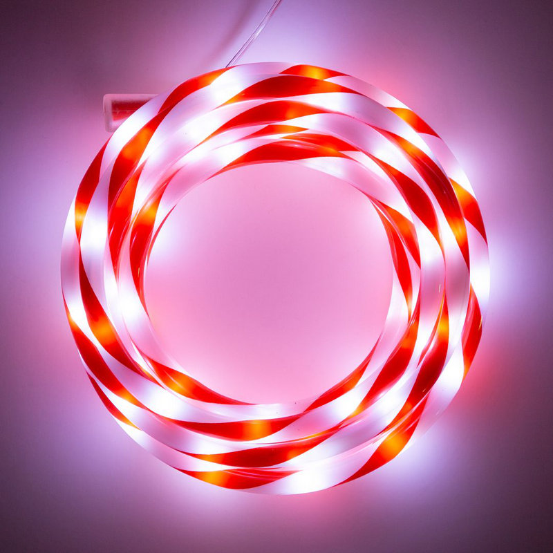 19cm LED Indoor / Outdoor Rope Lights