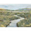Golden Field Painting by Sara Brown-26728832-26728833