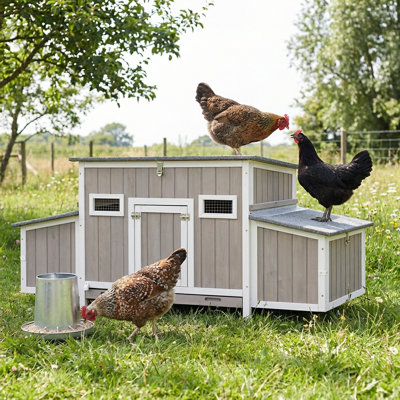 Wooden Chicken Coop Hen House With Roosting Bar