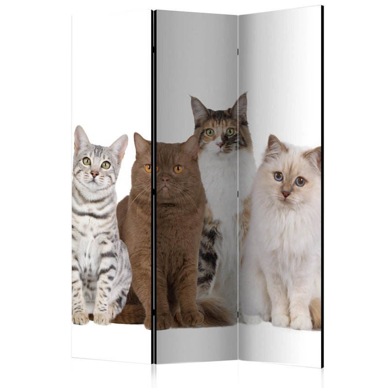 Juelz 172cm H Folding Room Divider, 3