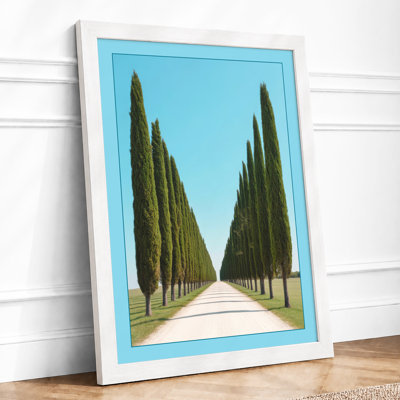 Cypress Avenue Minimalist - Print