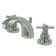 Tampa Widespread Bathroom Faucet with Drain Assembly