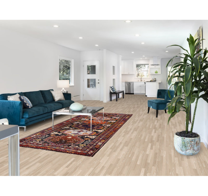 Tapis de couloir géométrique traditionnel 4x9