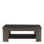 Adrianne Lift Top Four Leg Coffee Table with Storage-20638062