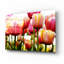 «Tulips» par Photoinc Studio, art mural en verre acrylique, 24 po x 16 po-1576245449