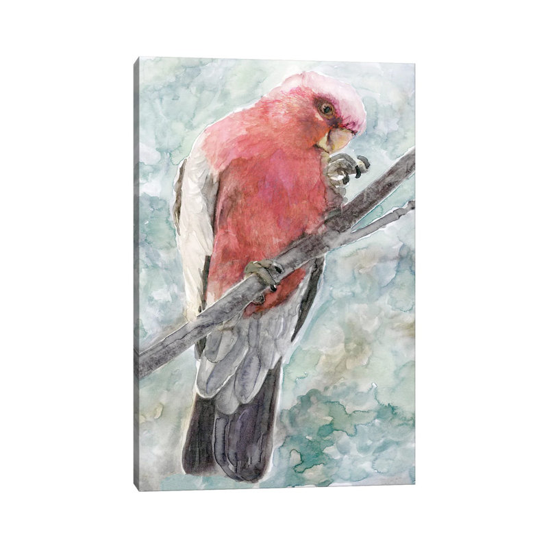 Tropic Parrot I by Stellar Design Studio - Wrapped Canvas Gallery-Wrapped Canvas Giclée, 30.48 cm H x 20.32 cm W