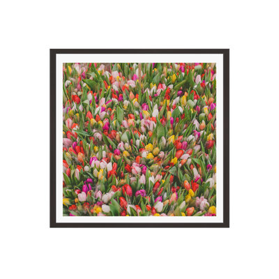 Thyrome "Rainbow Tulips" Print by Hello Twiggs