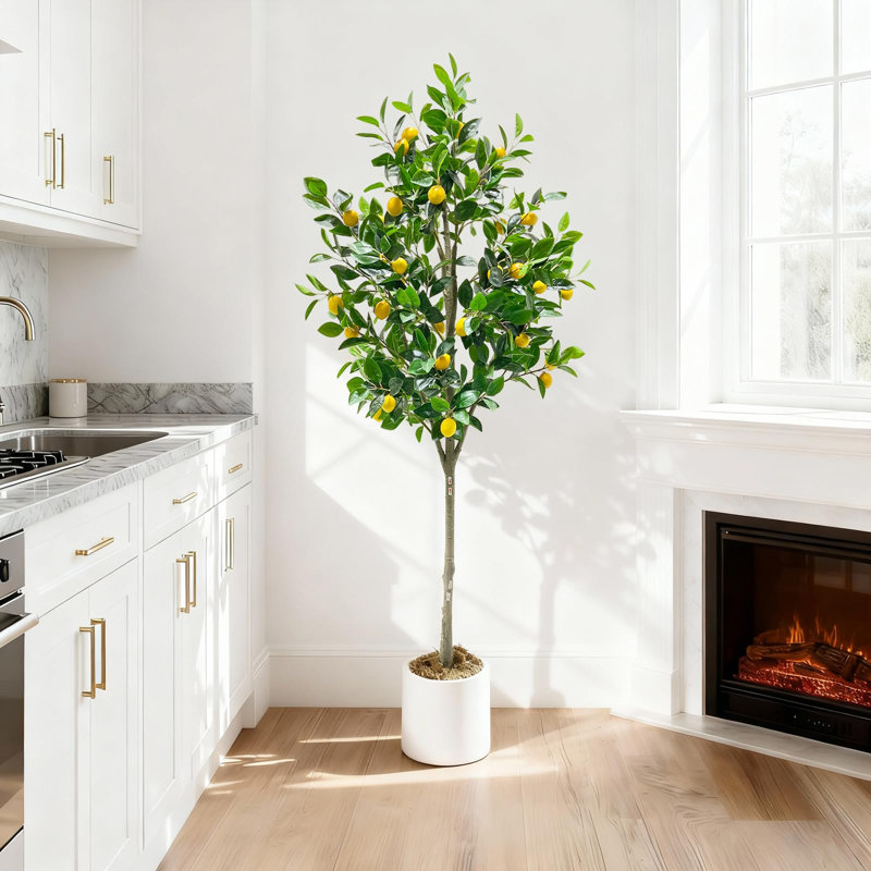180cm Plant