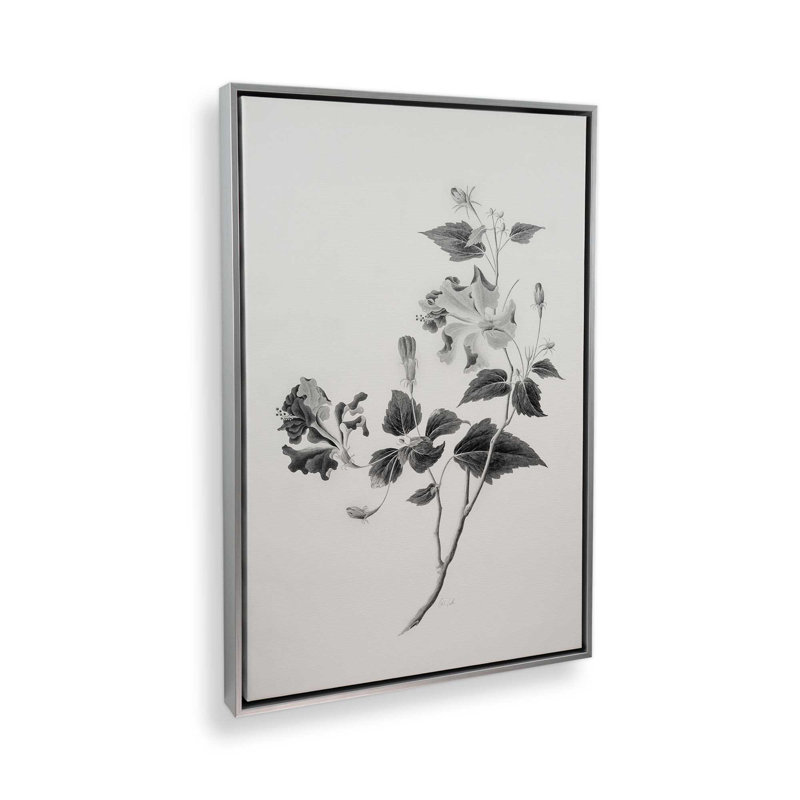 «Botanical I» par Deborah Revell, reproduction d'art sur toile, Argent argent, Cadre flottant, H 30 po x l 20 po